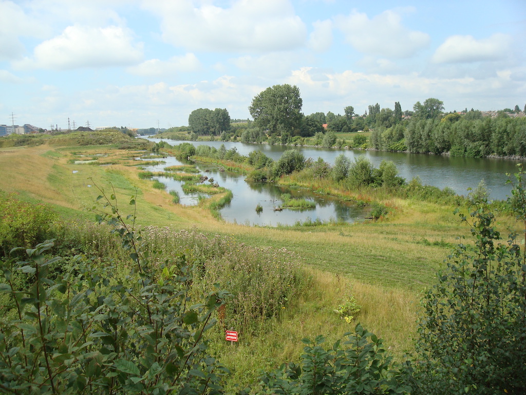 ekologi