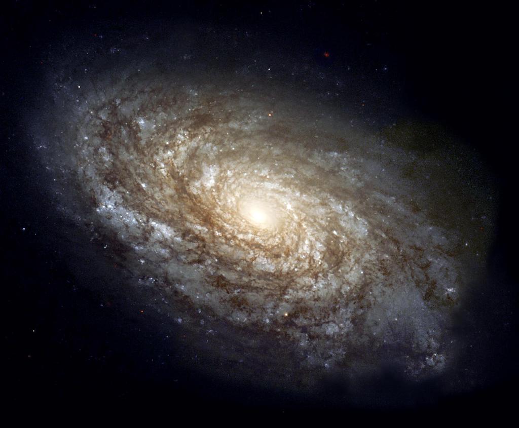 universum