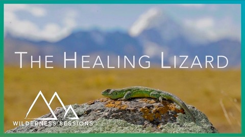Den helande ödlan i Bolivia