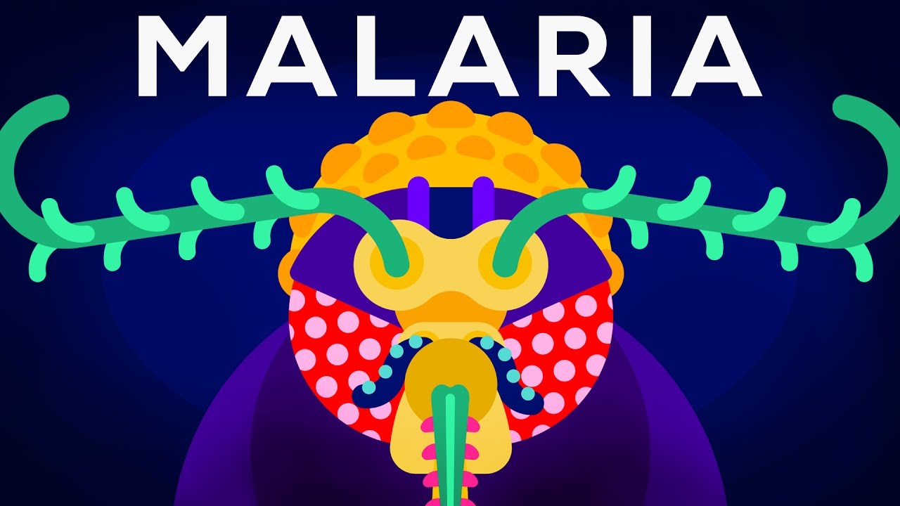 Det senaste vapnet mot malaria