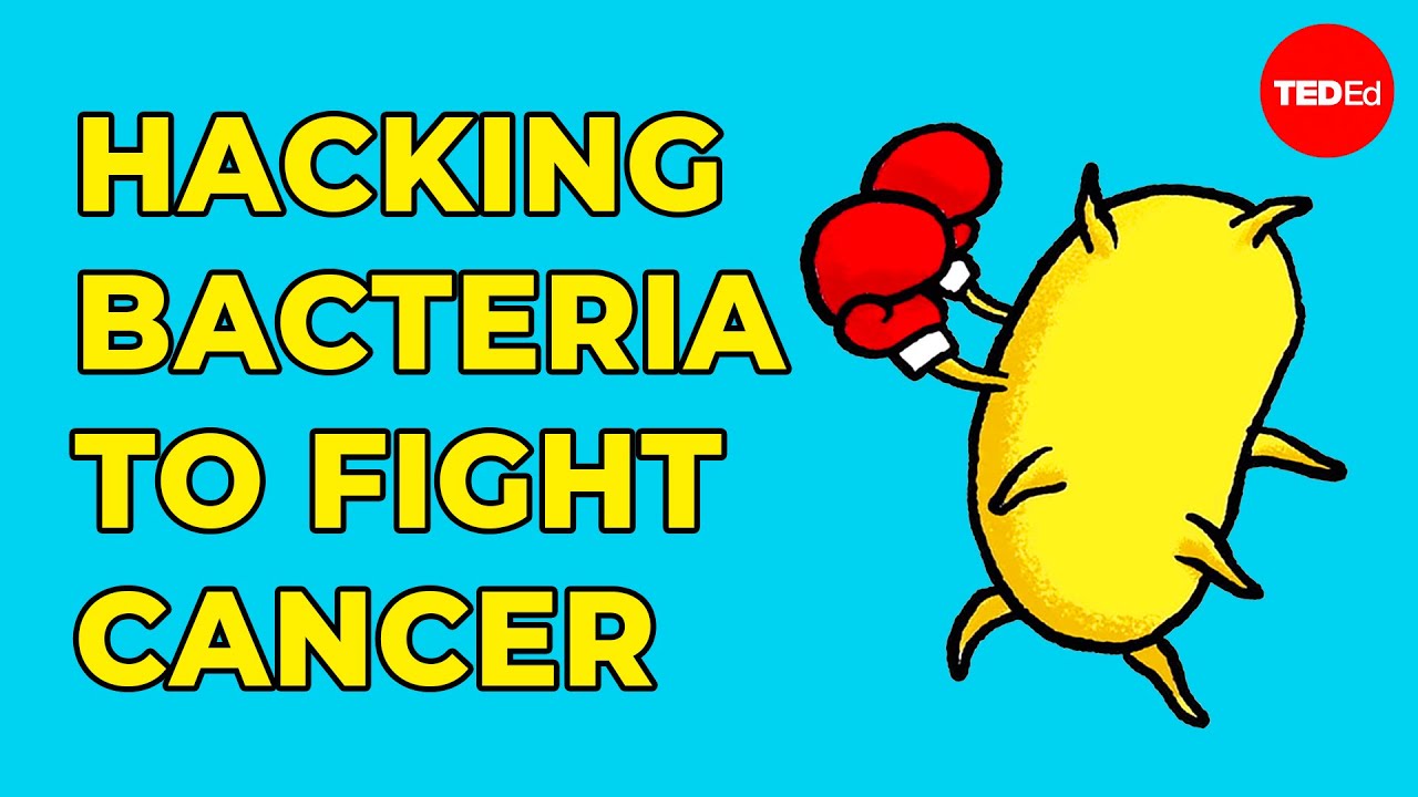 Syntetiska bakterier knäcker cancer
