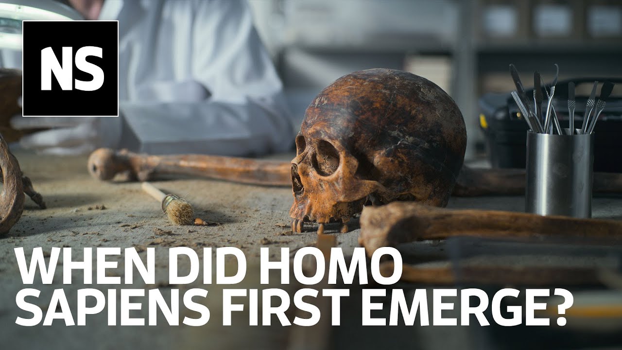 När uppstod Homo sapiens för första gången? Det är en komplex fråga att besvara.