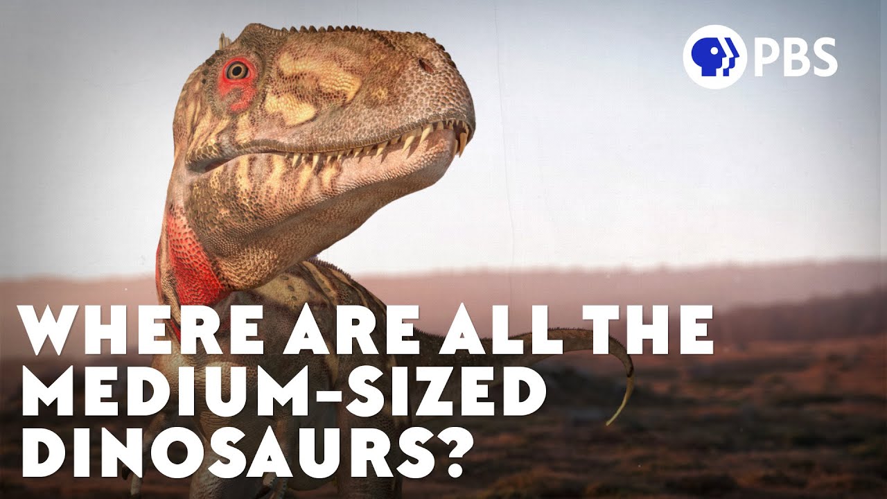 Var är alla medelstora dinosaurier?