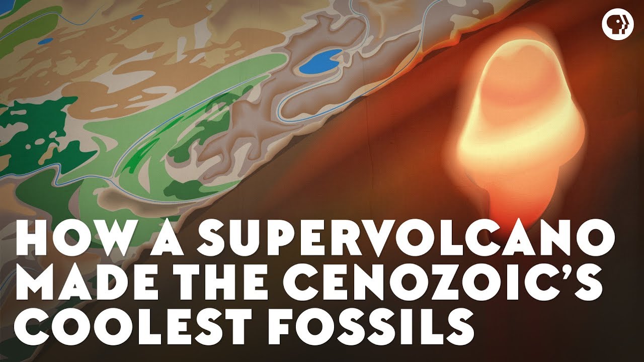 Hur en supervulkan skapade kenozoikums häftigaste fossil