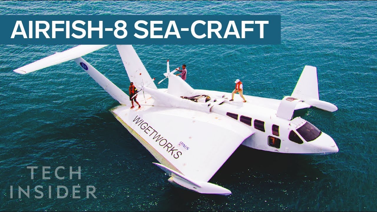 Airfish-8