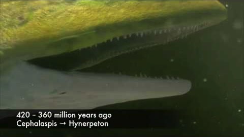 Universums och vår planets historia