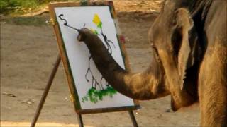 En elefant som målar elefanter