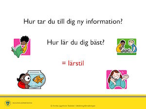 Varför vägrar myten om lärstilar att dö?