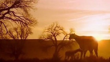 land of giants 280x157 X4u