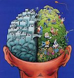brain hijinks