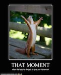 funny-animal-captions-animal-capshunz-feel-like-dancing