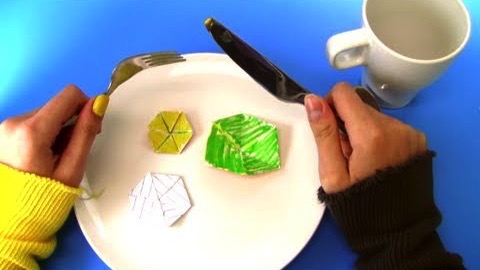 Hexaflexagoner!