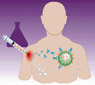 making vaccines