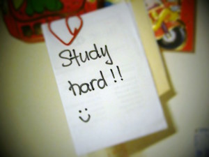 study hard by nghichan