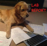 avd-f-kemiska-knasigheter-del-19-labbe-rapport
