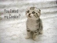 youeatedcookie