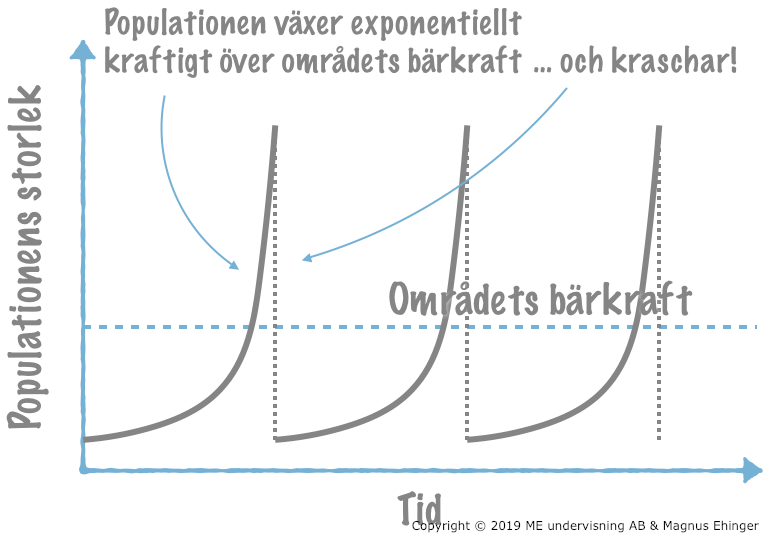 Tillväxt enligt en J-kurva.