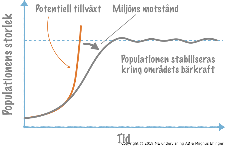 Tillväxt enligt en S-kurva.
