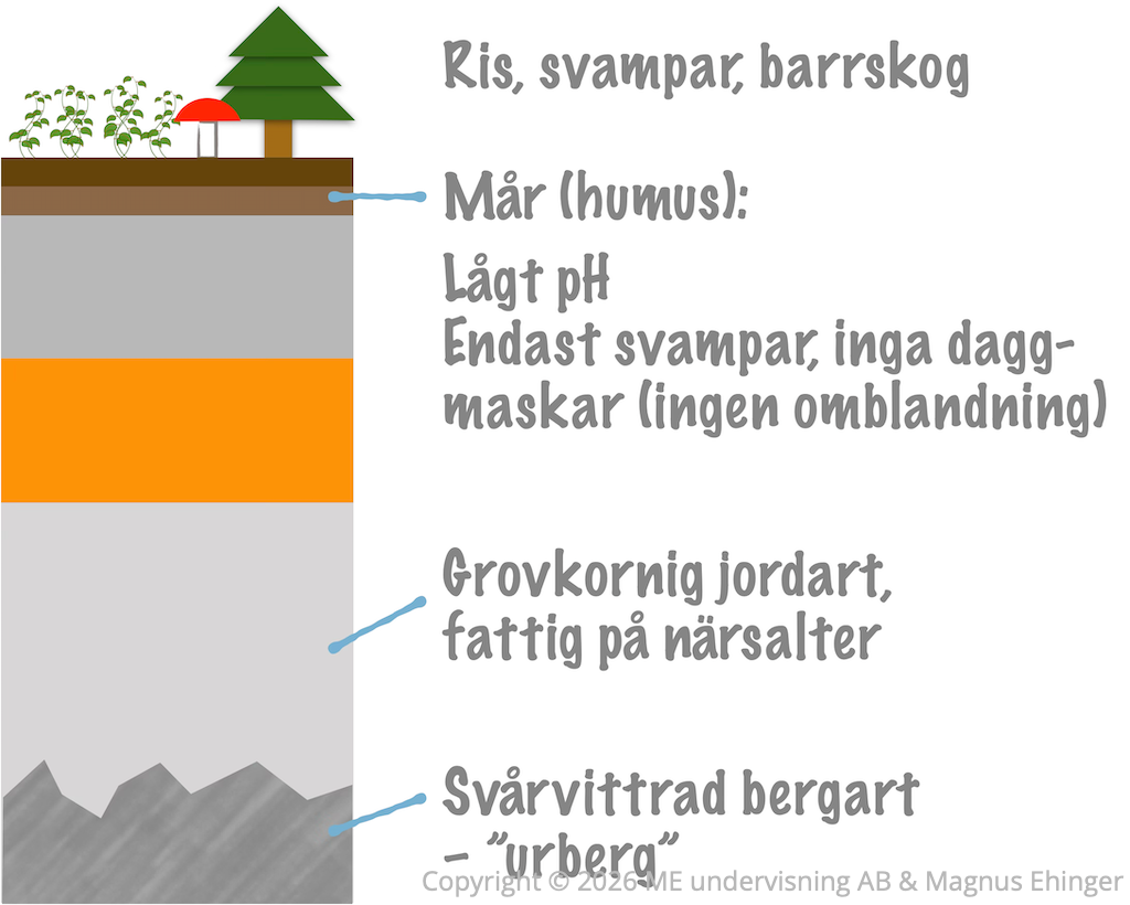 podsolprofil till prov