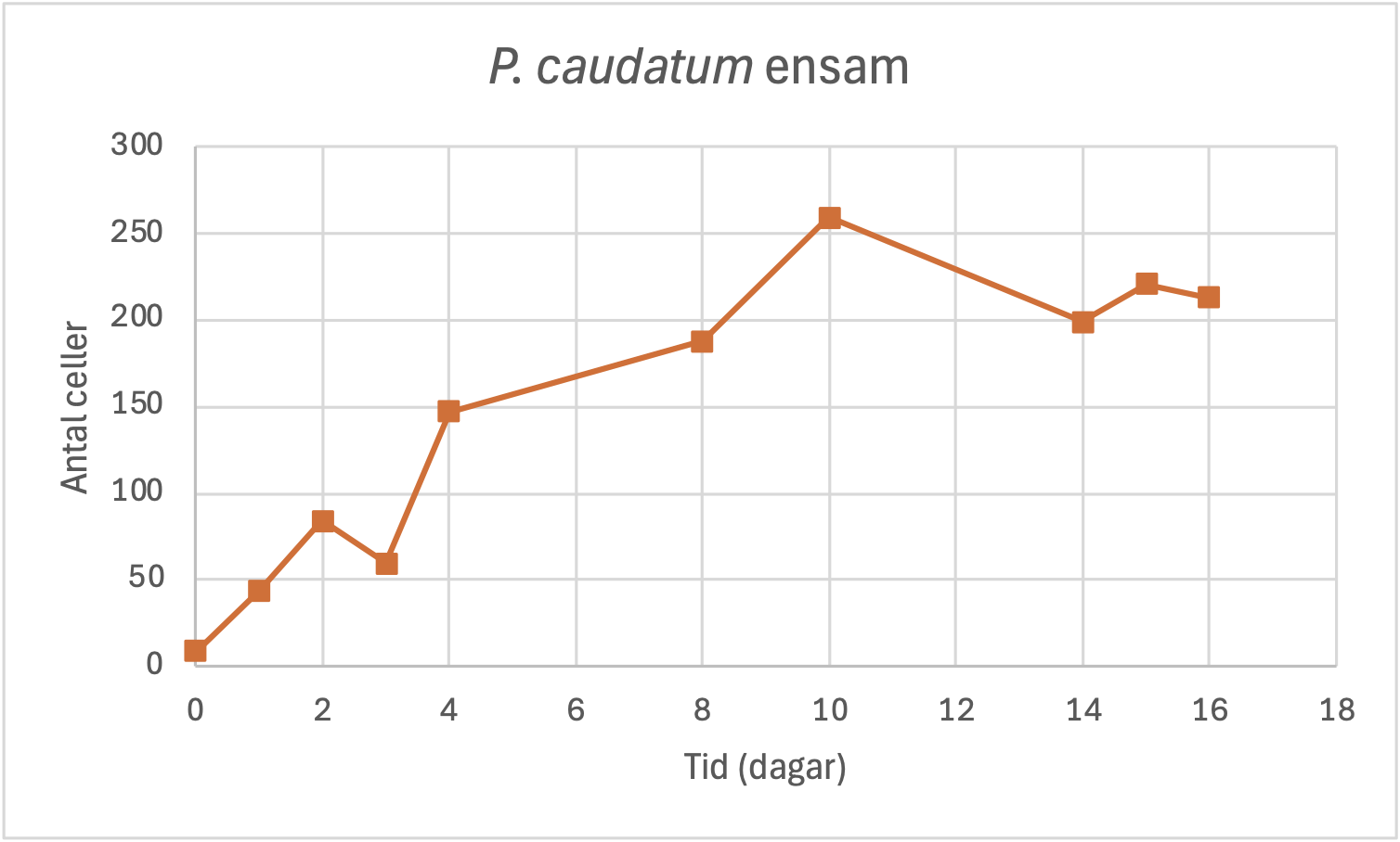 p caudatum ensam