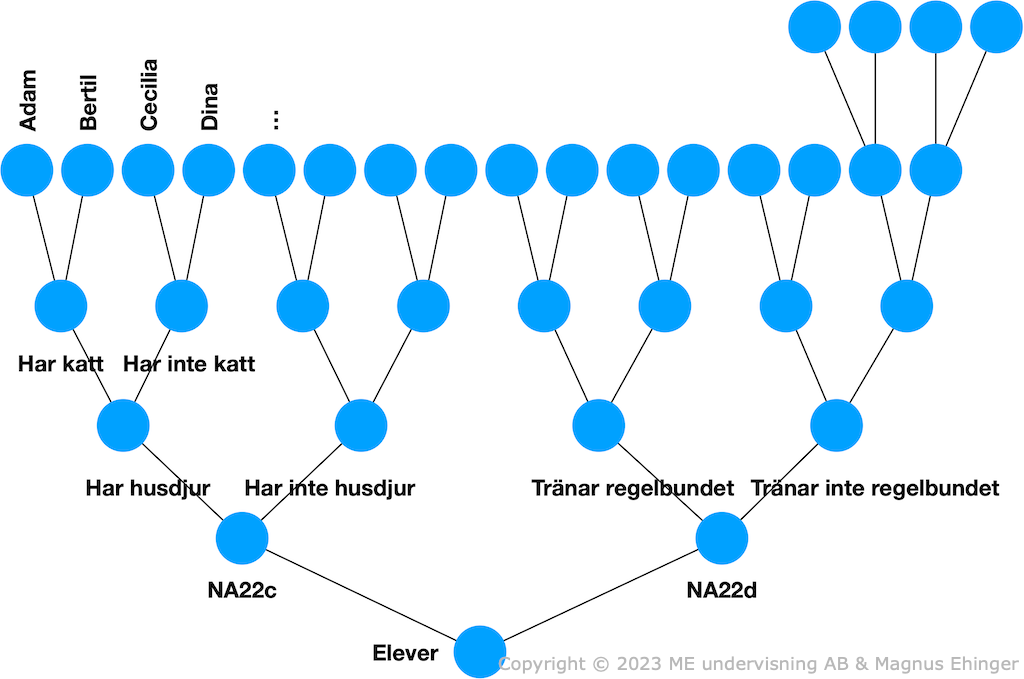 Bild 1. Hur ett "släktträd" över klassens/undervisningsgruppens individer skulle kunna se ut inledningsvis.