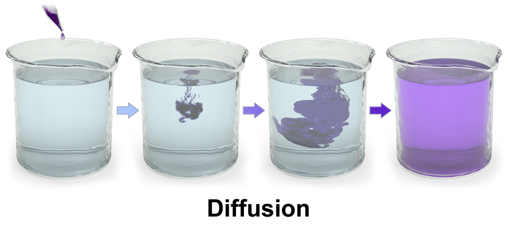 Diffusion och osmos. Transport över membran