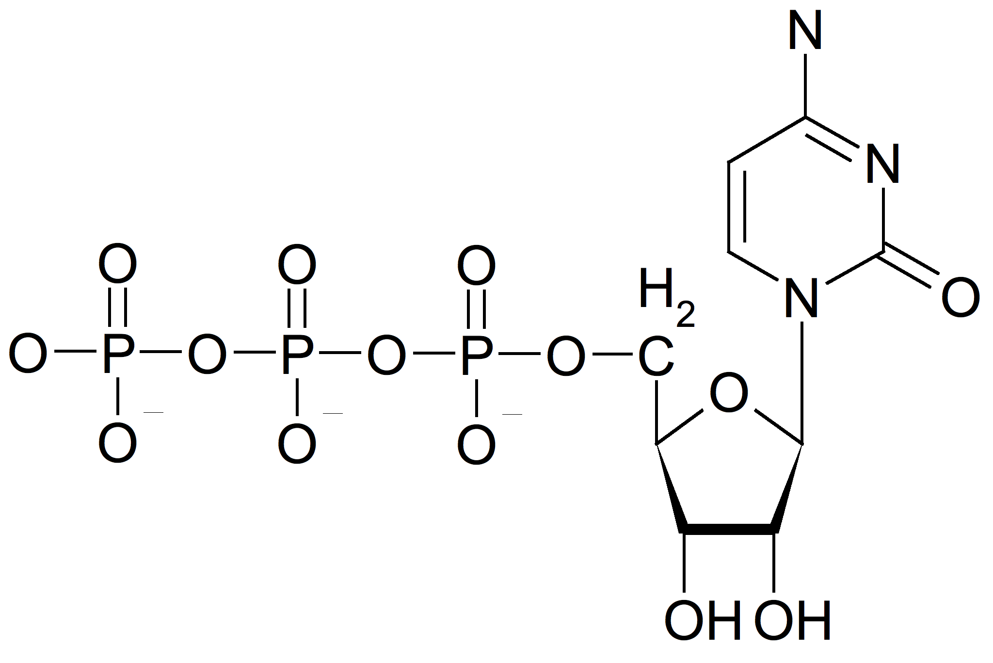 CTP