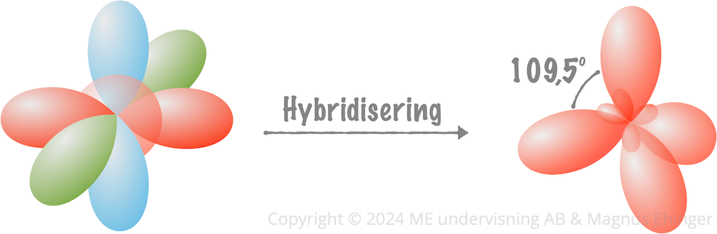 Modell av hur sp³-orbitaler bildas.