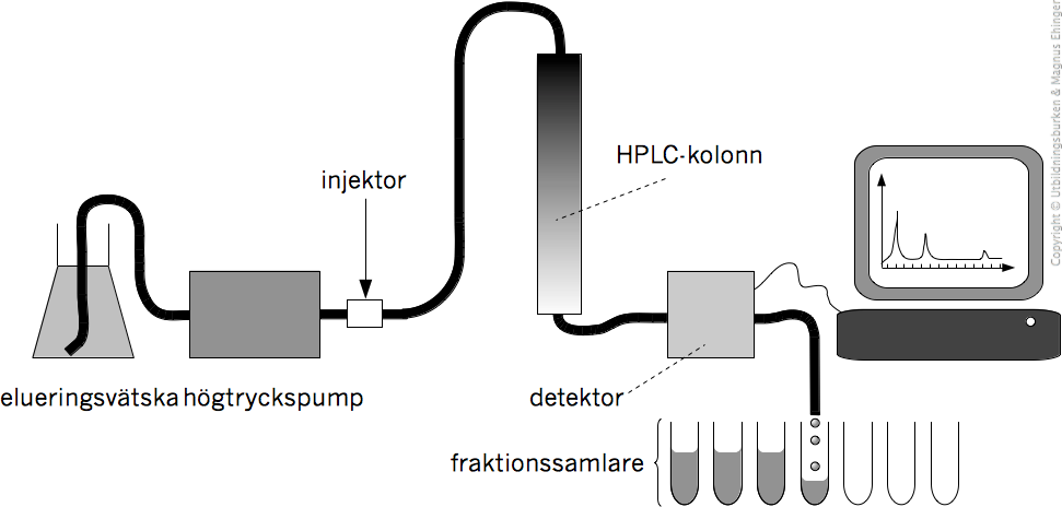 HPLC (High Performance Liquid Chromatography).