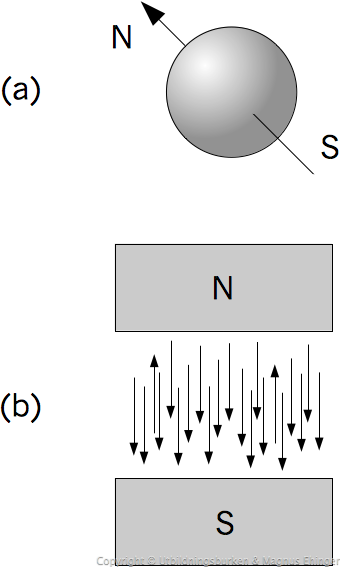 Väteatomer har ett magnetiskt spinn och ställer in sig i ett magnetfält.