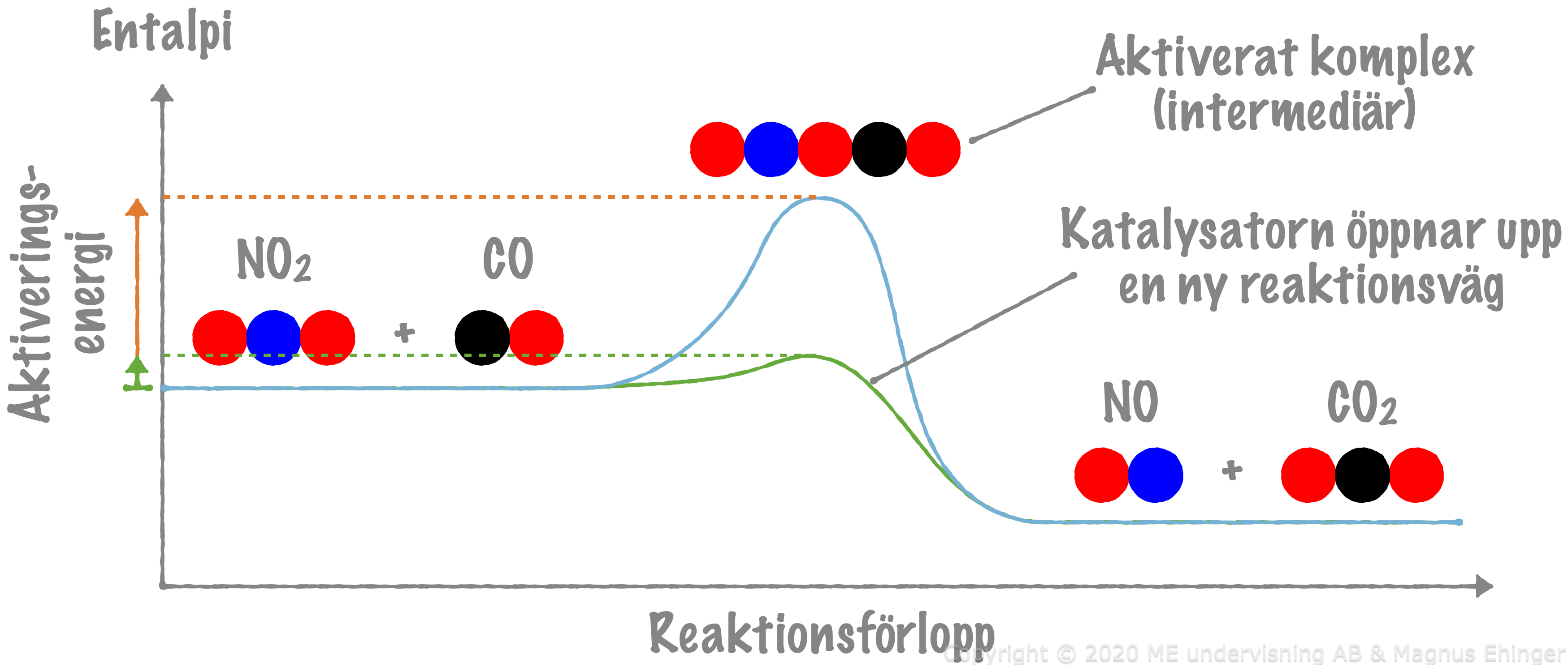 Katalysatorn får reaktionen att gå fortare genom att öppna upp en ny, mindre energikrävande reaktionsväg.
