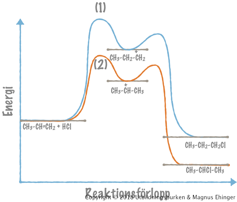 Markovnikovs regel – energidiagram.