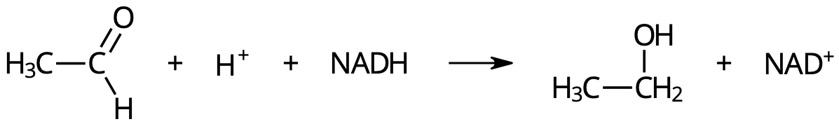 Acetaldehyd (etanal) reduceras till etanol.