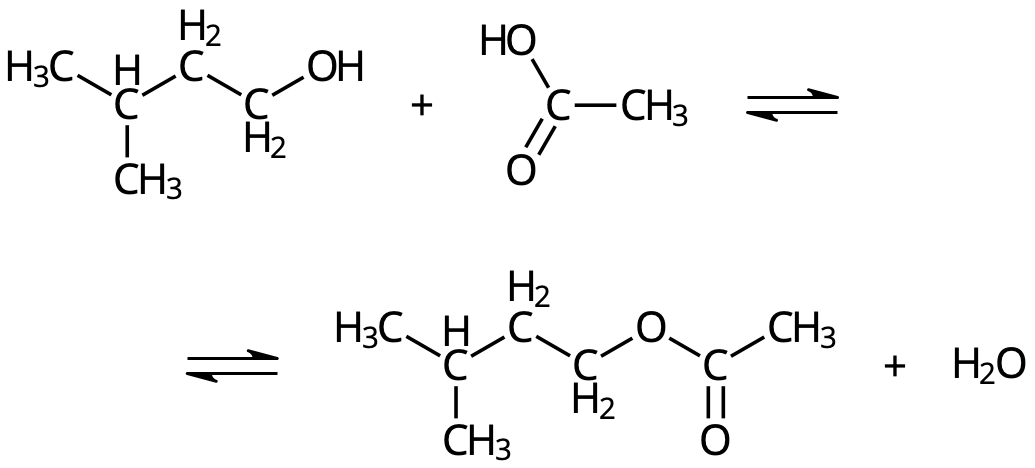 3-metyl-1-butanol + etansyra → 3-metyl-1-butyletanoat + vatten