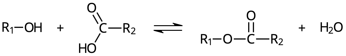 Estersyntes