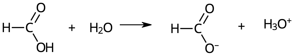 Myrsyra protolyseras.