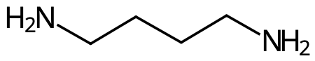 Putrescin.