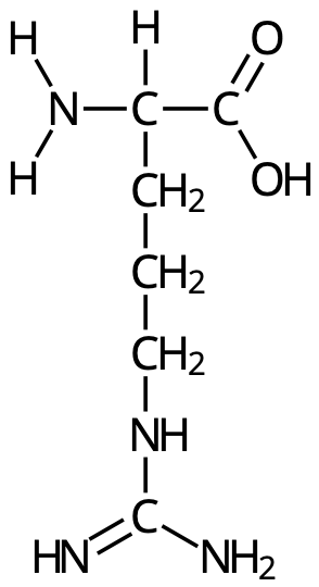 Arginin (Arg, R)