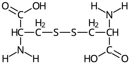 cys-cys-disulfidbrygga