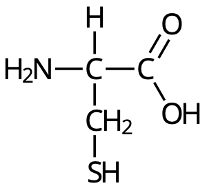 cystein v2
