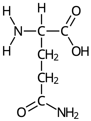 Glutamin (Gln, Q)