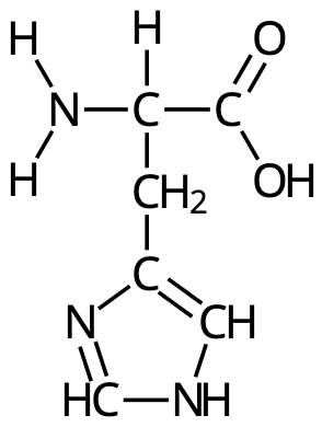 Histidin (His, H)