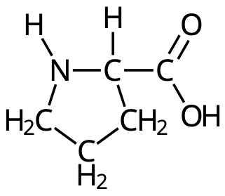 Prolin (Pro, P)