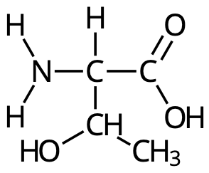 Treonin (Thr, T)