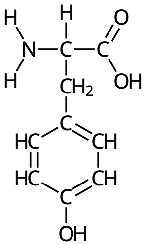 Tyrosin (Tyr, Y)