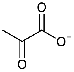 Pyruvatjon.