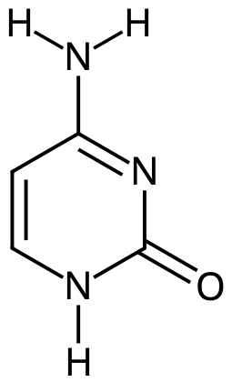 cytosin