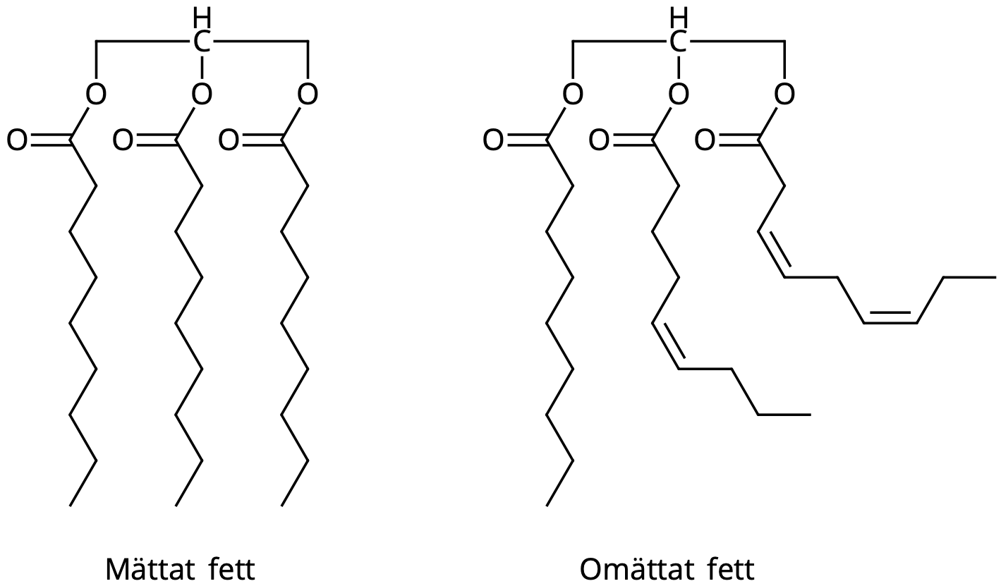 Mättat och omättat fett.