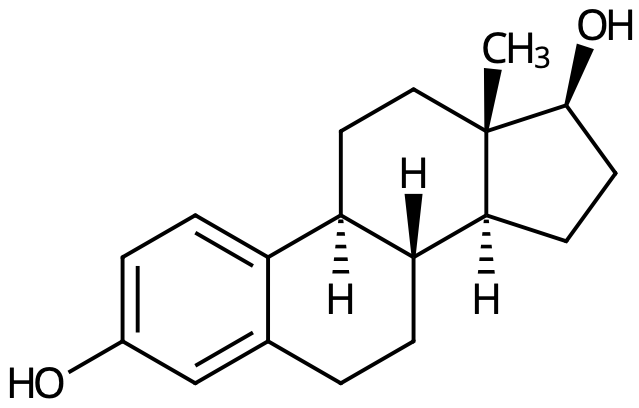 Hormonsystemet. Olika typer av hormoner.