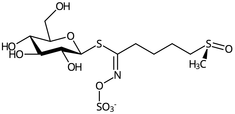 glucoraphanin